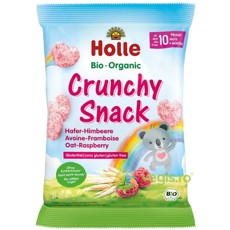 Gustare Crocanta cu Ovaz si Zmeura pentru Copii +10 luni fara Zahar Ecologica/Bio 30g HOLLE — preț și oferte