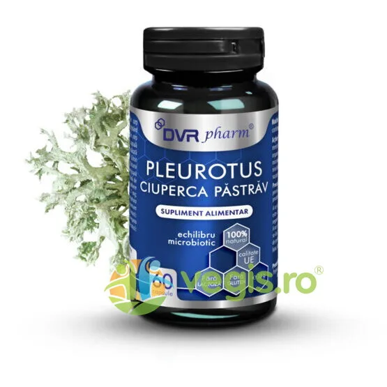 Pleurotus-Ciuperca Pastrav 60cps DVRPharm — preț și oferte