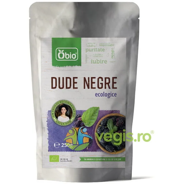 Dude Negre Deshidratate Raw Ecologice/Bio 250g OBio — preț și oferte