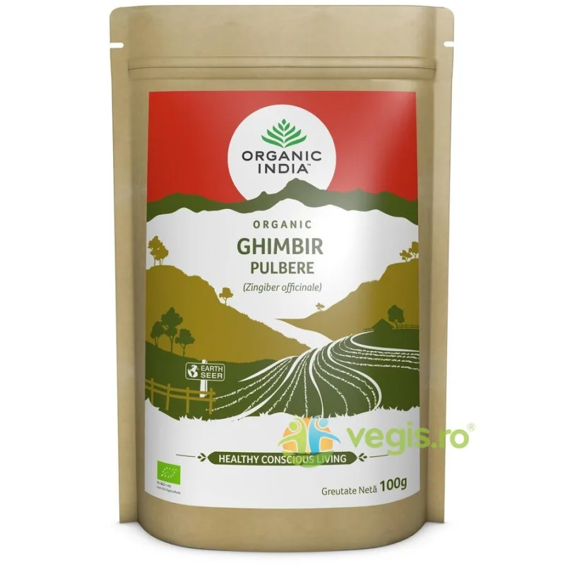 Ghimbir Pulbere Fara Gluten Ecologica/Bio 100g ORGANIC INDIA — preț și oferte