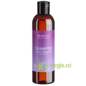 Sampon pentru Reparare si Stralucire cu Ulei de Argan 250ml