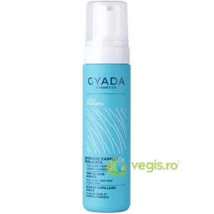 Spuma de Par pentru Fixare cu Aloe Vera 200ml