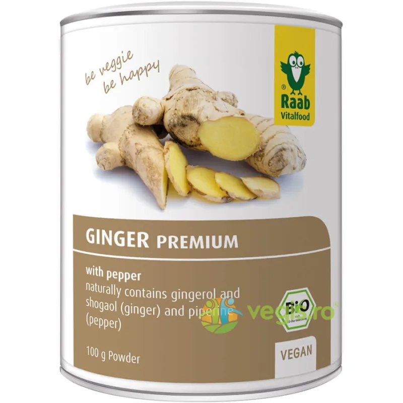 Ghimbir Pudra Ecologic/Bio 100g RAAB — preț și oferte