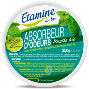 Odorizant pentru Neutralizarea Mirosurilor Neplacute din Spatii Inchise cu Parfum de Menta 250g