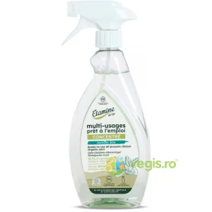 Spray Eco Multifunctional cu Parfum de Menta fara Clatire 500ml