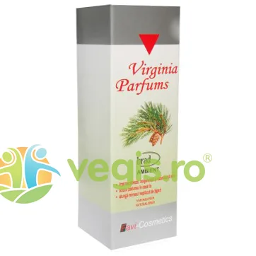 Parfum de Camera Brad Ambient 50ml Favisan — preț și oferte