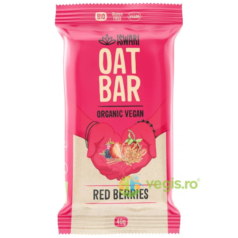 Baton Energizant din Ovaz, Sfecla si Fructe de Padure fara Gluten Ecologic/Bio 40g ISWARI — preț și oferte