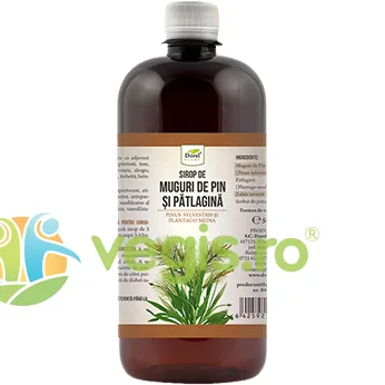 Sirop de Muguri de Pin si Patlagina 500ml Dorel Plant — preț și oferte