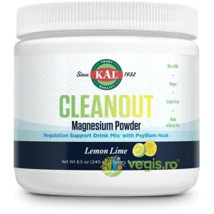 Cleanout Magnesium Powder (Aroma de Lamaie si Lamaie Verde) 240g Secom,