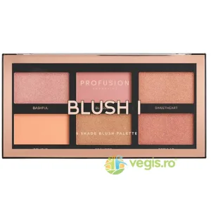 Paleta Farduri de Obraz 6 Nuante Blush I 16g