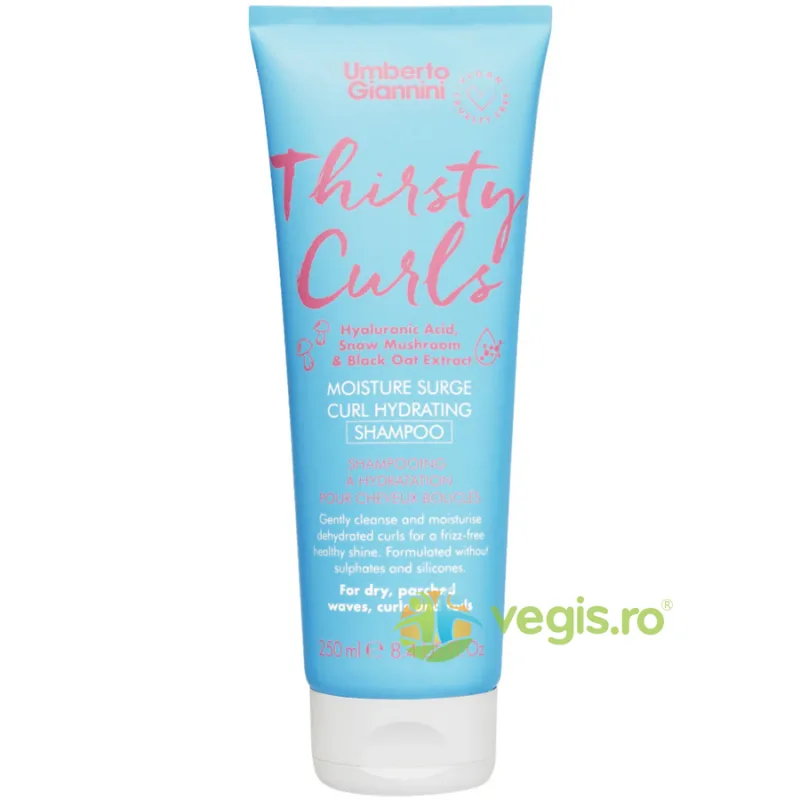 Sampon Hidratant pentru Parul Cret Uscat cu Acid Hialuronic Thirsty Curls 250ml UMBERTO GIANNINI — preț și oferte