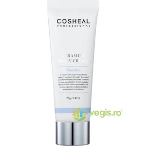 Crema Reechilibranta cu Ceramide, Apa Glaciara si Niacinamide Waterfull 70g