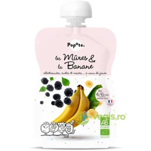 Piure cu 51% Mure si 43% Banane +4/6 Luni Ecologic/Bio 120g