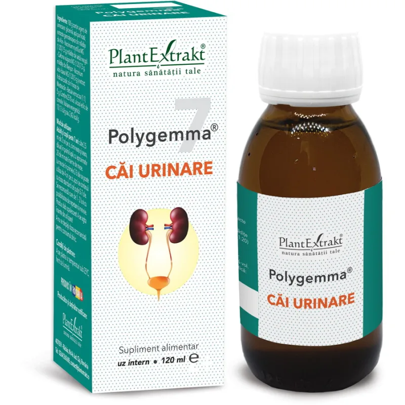 Polygemma 7 Cai Urinare 120ml PLANTEXTRAKT — preț și oferte
