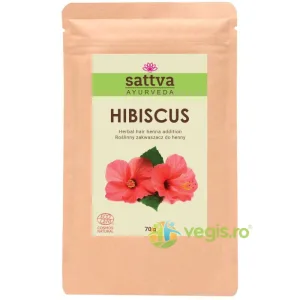 Pudra de Hibiscus - Aditiv Vopsea de Par Henna Rosu Purpuriu 70g