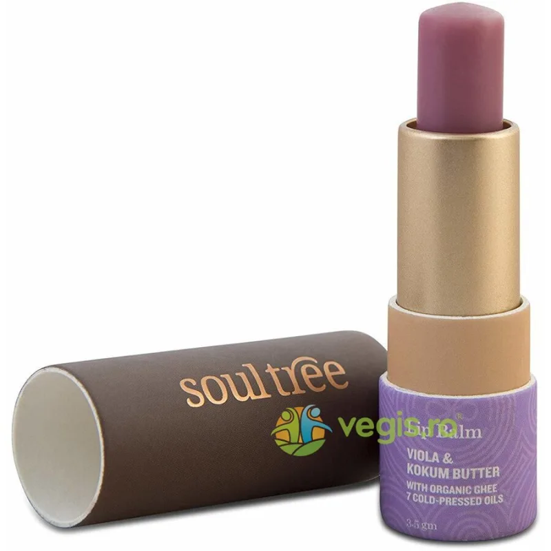 Balsam de Buze cu Violete si Unt de Kokum 3.5g SOULTREE — preț și oferte