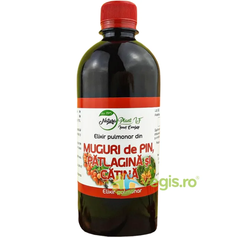 Elixir Pulmonar din Muguri de Pin, Patlagina si Catina 200ml NATURA PLANT IF — preț și oferte