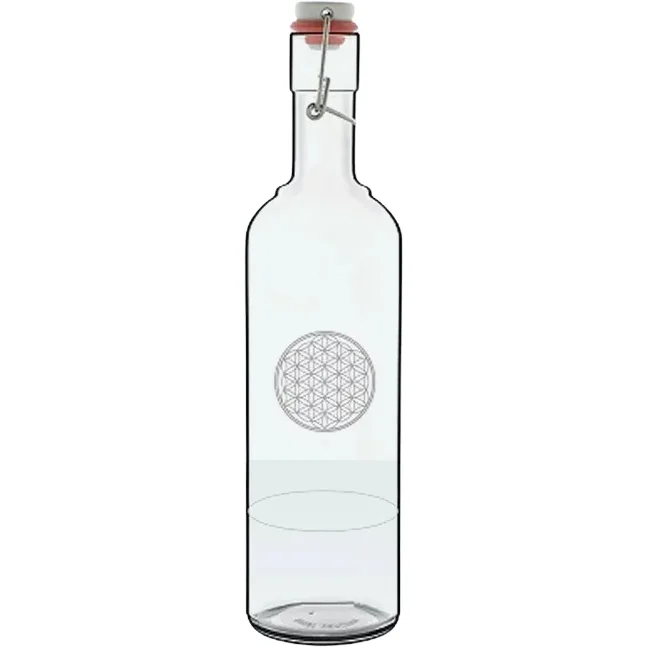 Sticla pentru Dilutie Hipertonica/Izotonica 1L 78 Oligo — preț și oferte