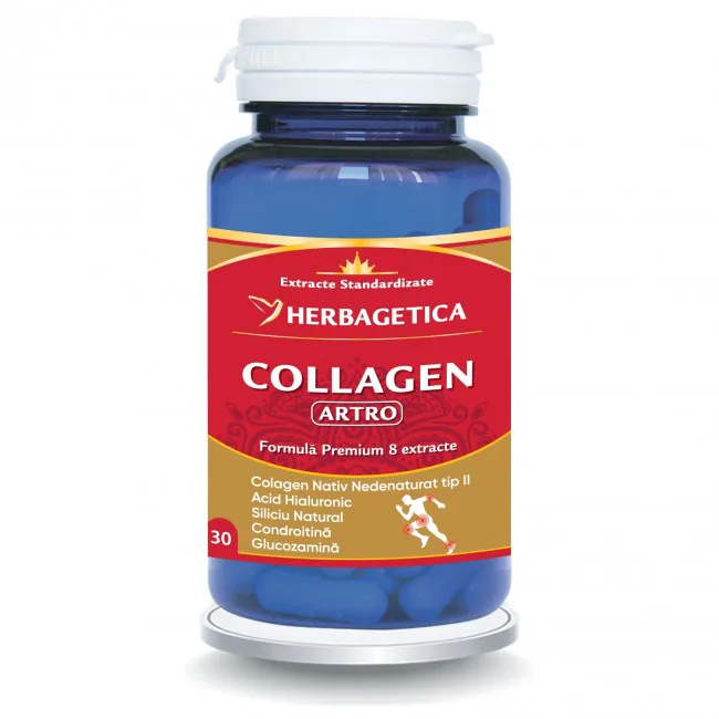 Collagen Artro 30cps HERBAGETICA — preț și oferte
