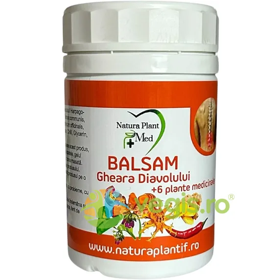 Balsam cu Gheara Diavolului + 6 Plante Medicinale 250ml NATURA PLANT IF — preț și oferte
