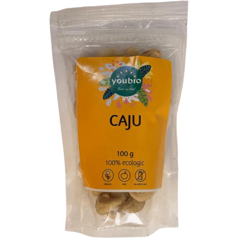 Caju 100g YOUBIO — preț și oferte
