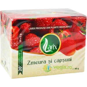 Ceai Zmeura si Capsuni cu Snur 20dz