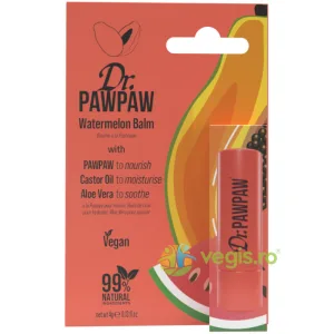 Balsam Stick pentru Buze cu Ulei de Ricin si Aloe Vera cu Aroma de Pepene Verde si Pawpaw 4g