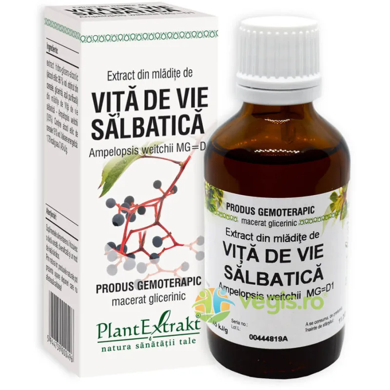Extract din Mladite de Vita de Vie Salbatica 50ml PLANTEXTRAKT — preț și oferte