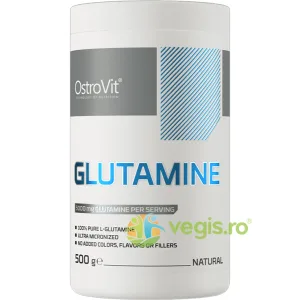 Glutamina 500g