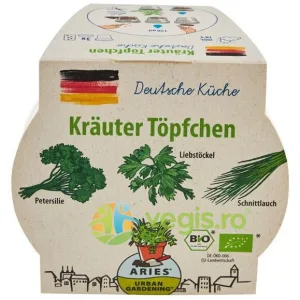 Ghiveci Biodegradabil cu Seminte pentru Semanat Mix de Ierburi Germane Bio 3buc