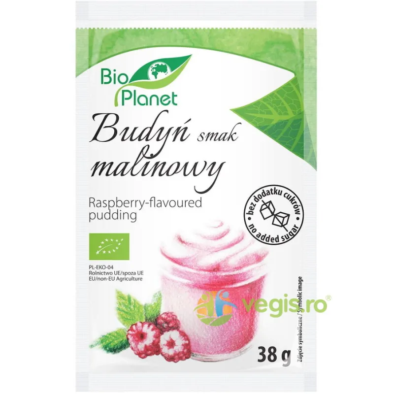 Budinca de Zmeura fara Zahar Adaugat Ecologica/Bio 38g Bio Planet — preț și oferte