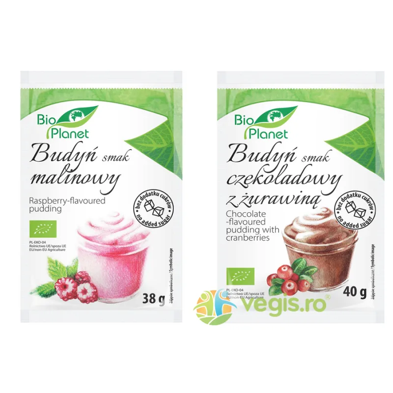 Budinca de Zmeura Ecologica/Bio 38g + Budinca de Cacao cu Merisoare Ecologica/Bio 40g Bio Planet — preț și oferte