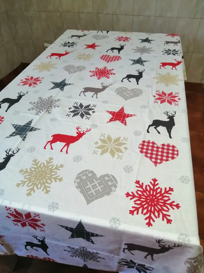 Fata de masa (mare) BBC Ranforce, alb/reni, 250x150 cm, Andana | 1 buc ANDANA INFINITY — preț și oferte