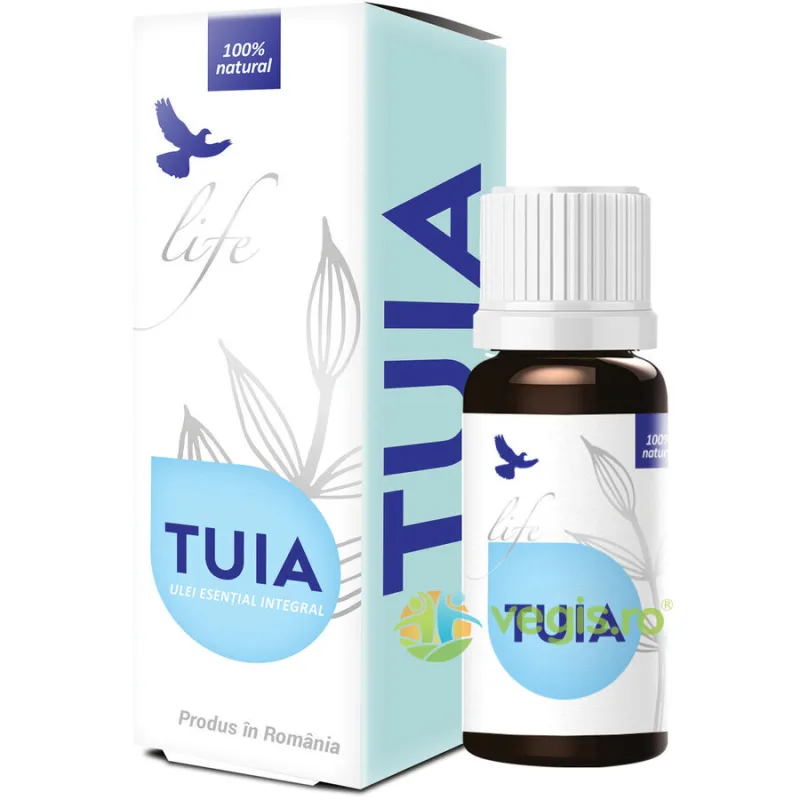 Ulei Esential de Tuia 10ml BIONOVATIV — preț și oferte