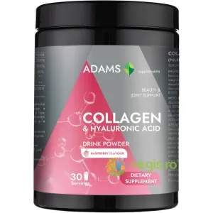 Collagen si Acid Hialuronic Pulbere Instant cu Aroma de Zmeura 600g