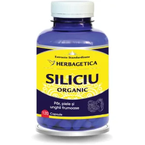 Siliciu Organic 120cps