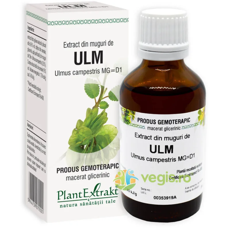 Extract din Muguri de Ulm 50ml PLANTEXTRAKT — preț și oferte