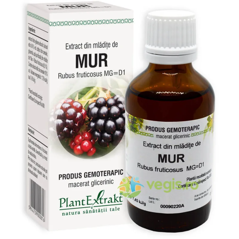 Extract din Mladite de Mur 50ml PLANTEXTRAKT — preț și oferte