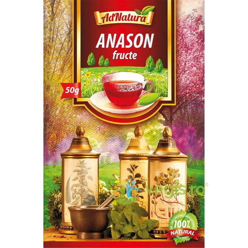 Ceai Anason Fructe 50g ADNATURA — preț și oferte