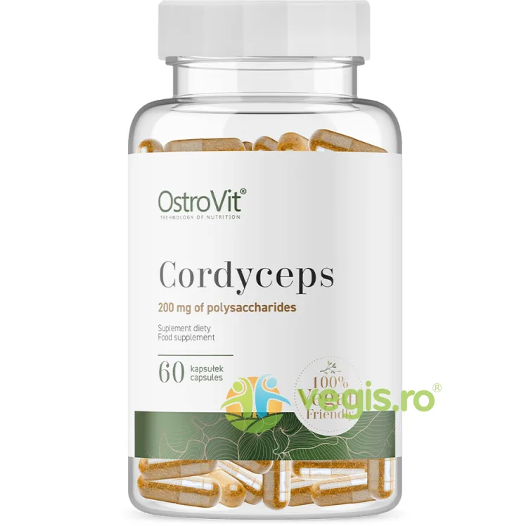 Cordyceps 60cps OSTROVIT — preț și oferte