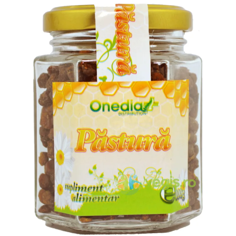 Pastura 100g Onedia — preț și oferte