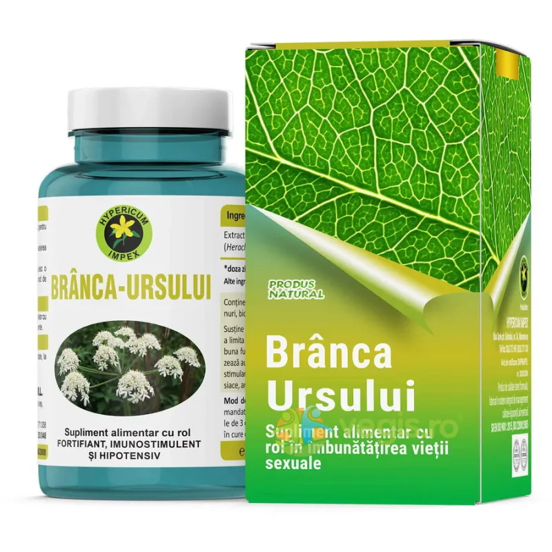 Branca Ursului 60cps Hypericum — preț și oferte