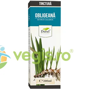 Tinctura de Obligeana 200ml Dorel Plant — preț și oferte