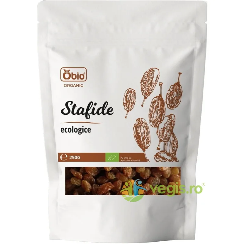 Stafide Ecologice/Bio 250g OBio — preț și oferte