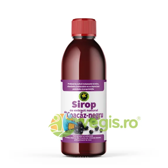 Sirop de Coacaz Negru 500ml Hypericum — preț și oferte
