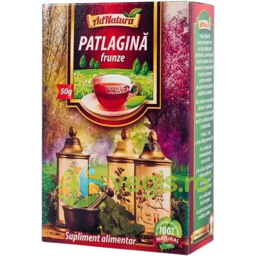 Ceai Patlagina Frunze 50g ADNATURA — preț și oferte