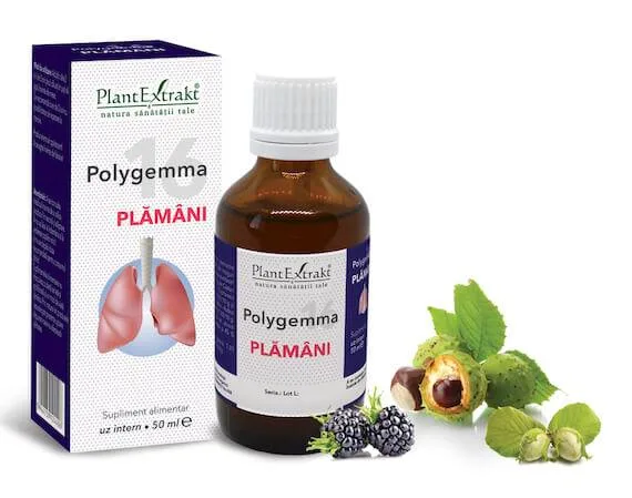 Polygemma 16 - Plaman 50ml Plantextrakt — preț și oferte