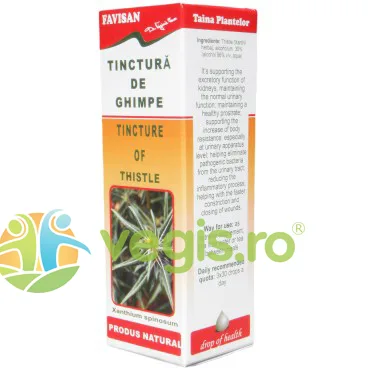 Tinctura de Ghimpe 50ml Favisan — preț și oferte
