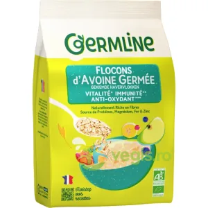 Fulgi de Ovaz Germinat Ecologici/Bio 350g