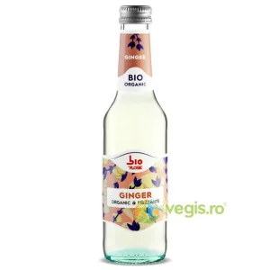 Bautura Carbogazoasa Ginger Ecologica/Bio 275ml